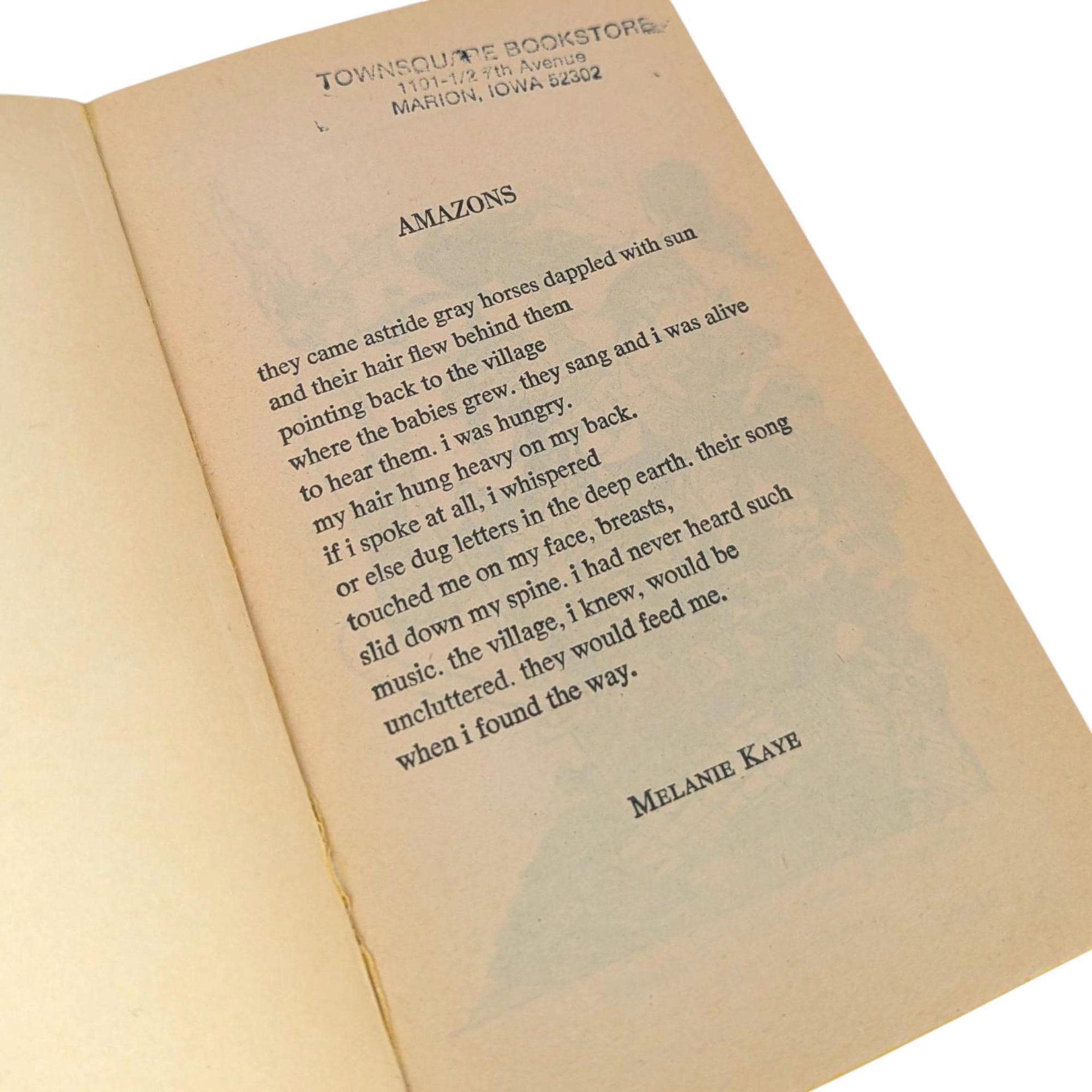 Vintage 1979 Amazons! Anthology: Feminist Sci-Fi, Heroic Fantasy