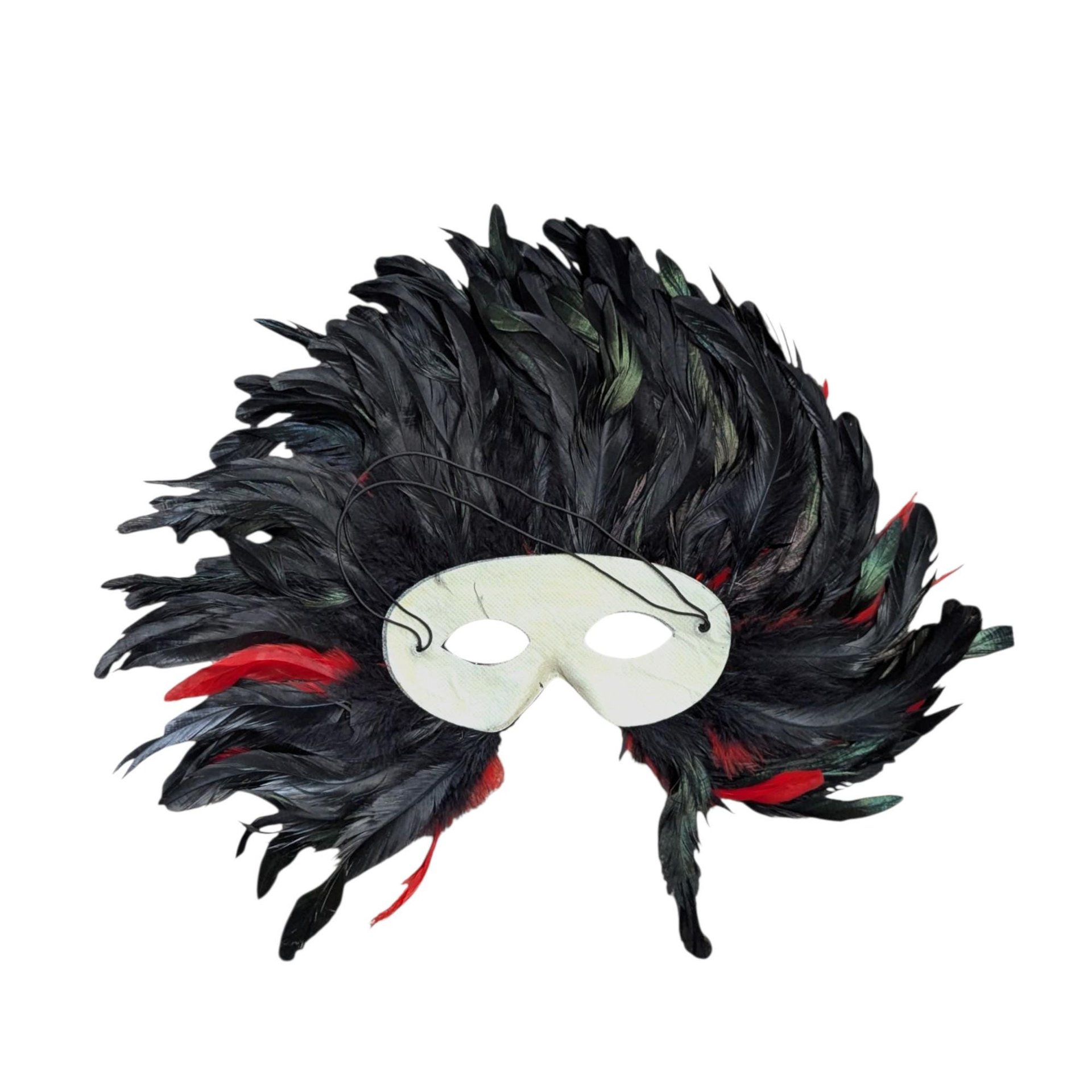 Vintage Feather Mardi Gras Mask: Black & Red Masquerade Wall Decor