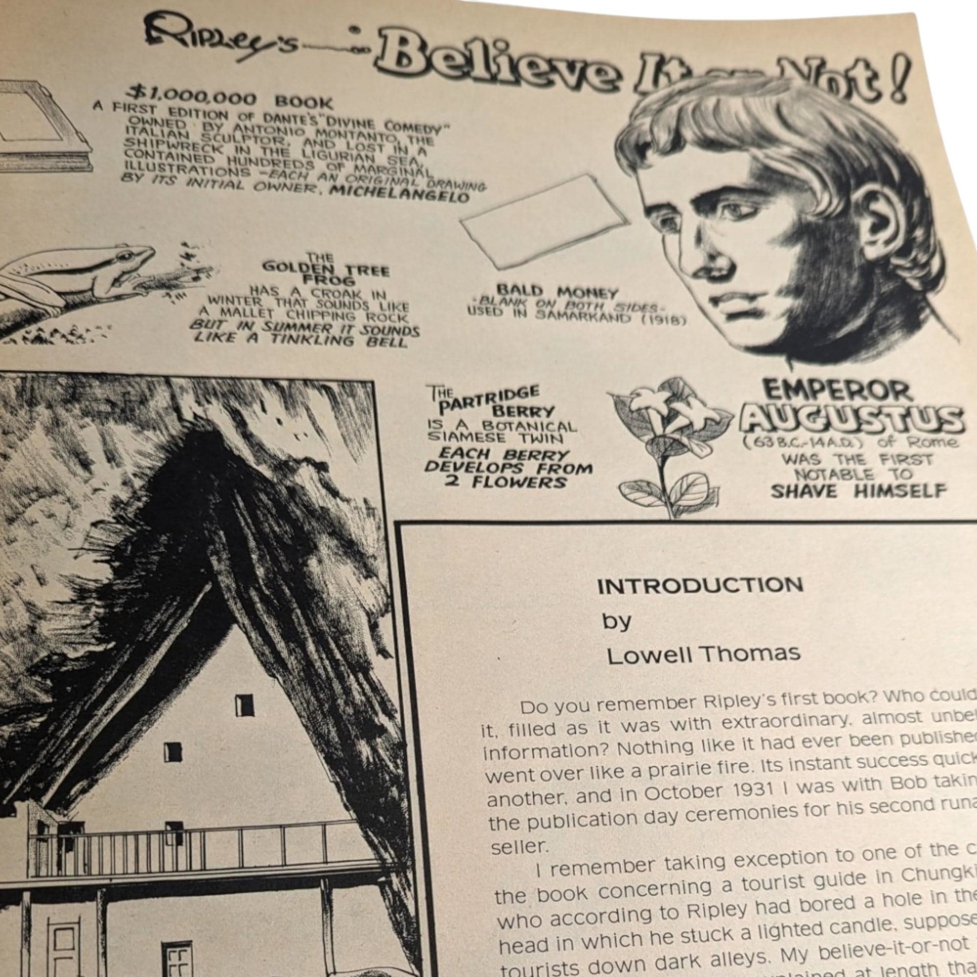 Vintage 1976 Ripley's Believe It Or Not! Book: Illustrated Oddities & Wonders