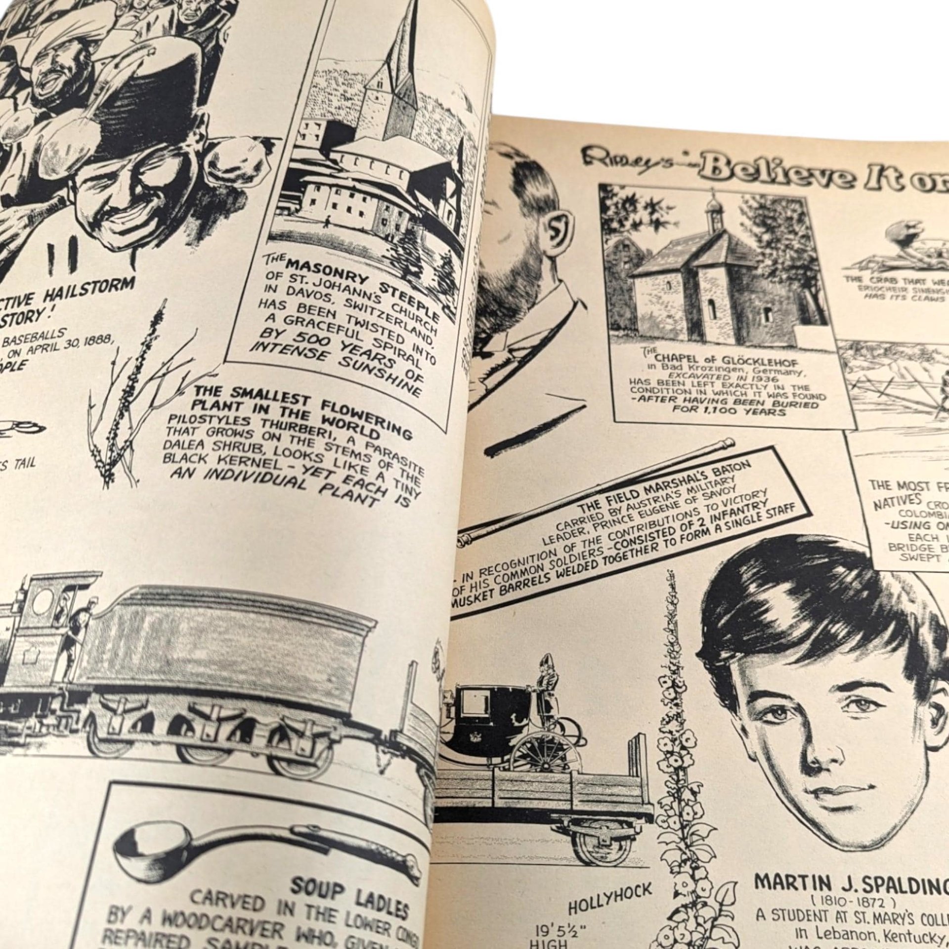 Vintage 1976 Ripley's Believe It Or Not! Book: Illustrated Oddities & Wonders