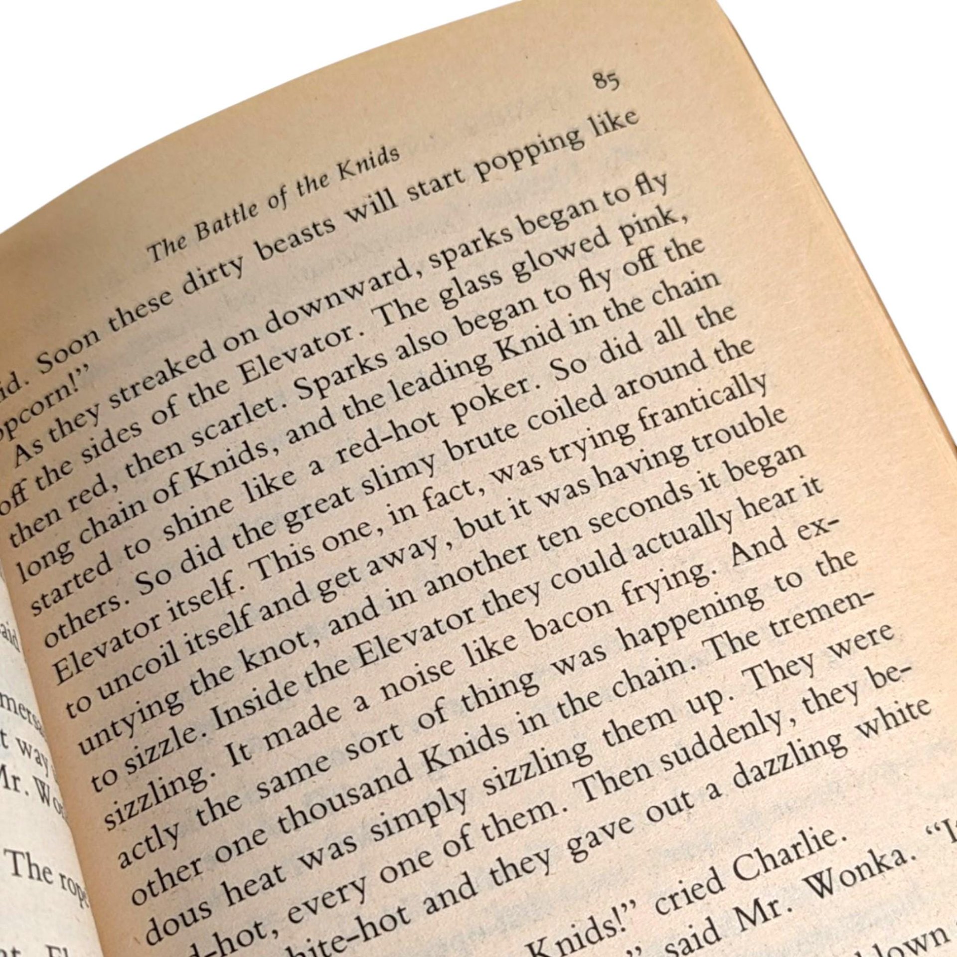 Vintage Charlie and the Great Glass Elevator: 1972 Roald Dahl Paperback, Illustrated Children's Book