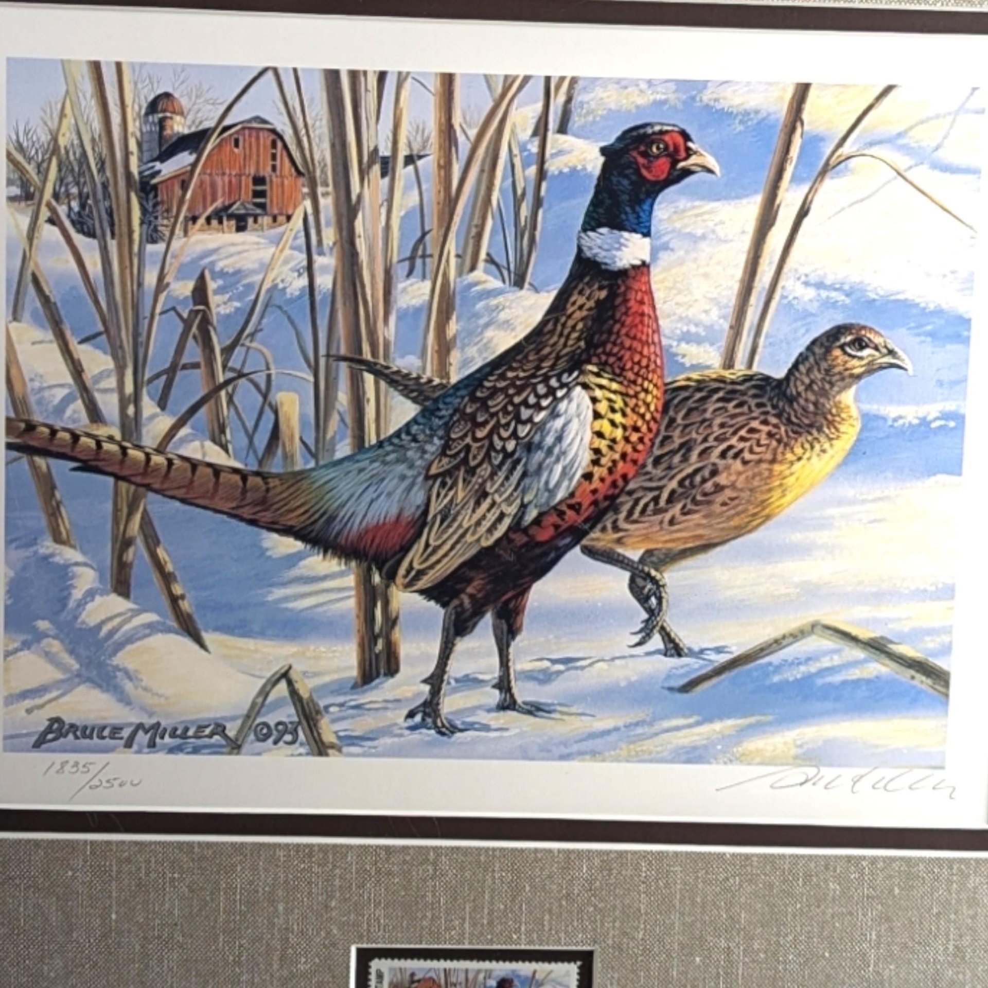 Signed 1993 Pheasant Art Print: Bruce Miller Minnesota Habitat Stamp, Framed Wildlife Art