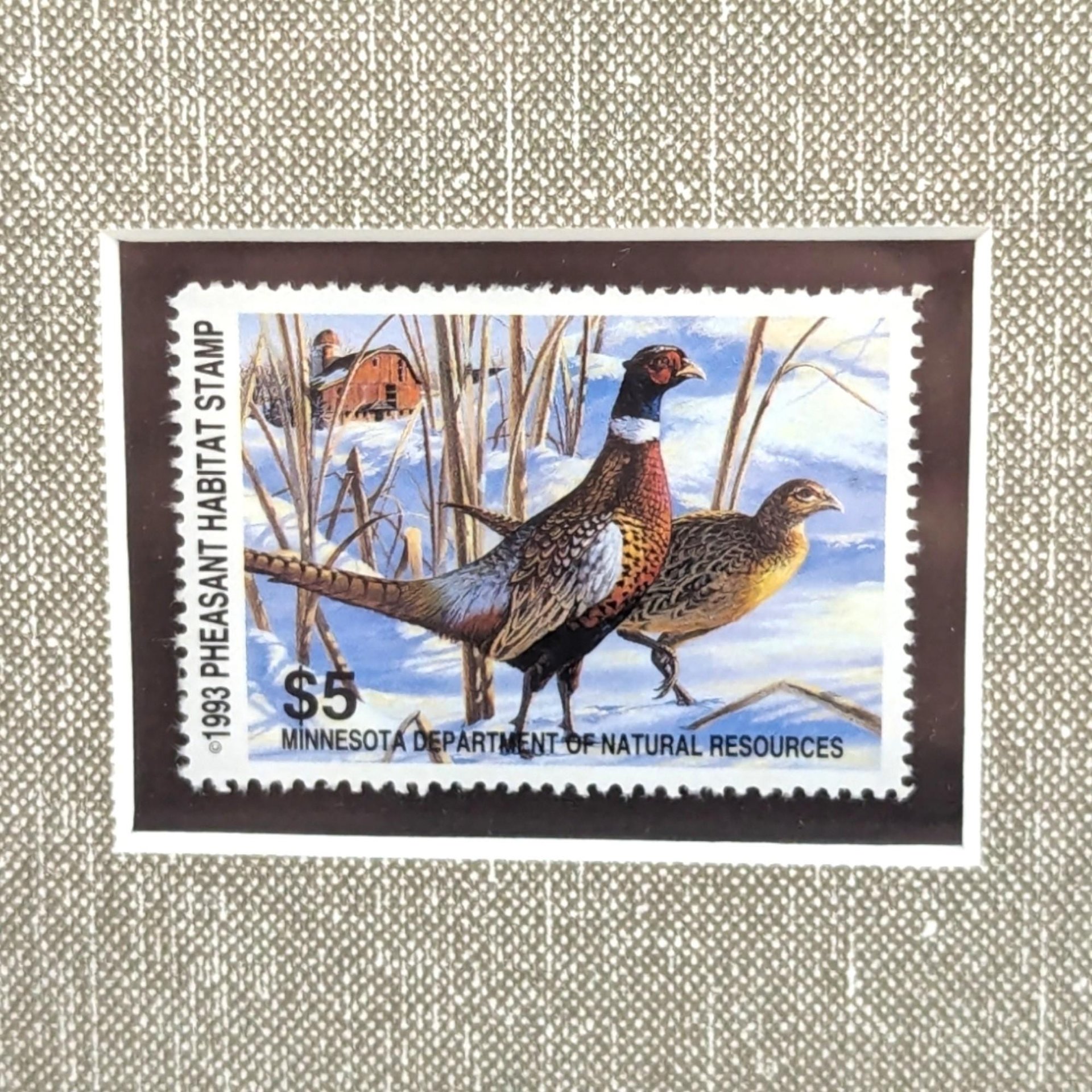 Signed 1993 Pheasant Art Print: Bruce Miller Minnesota Habitat Stamp, Framed Wildlife Art