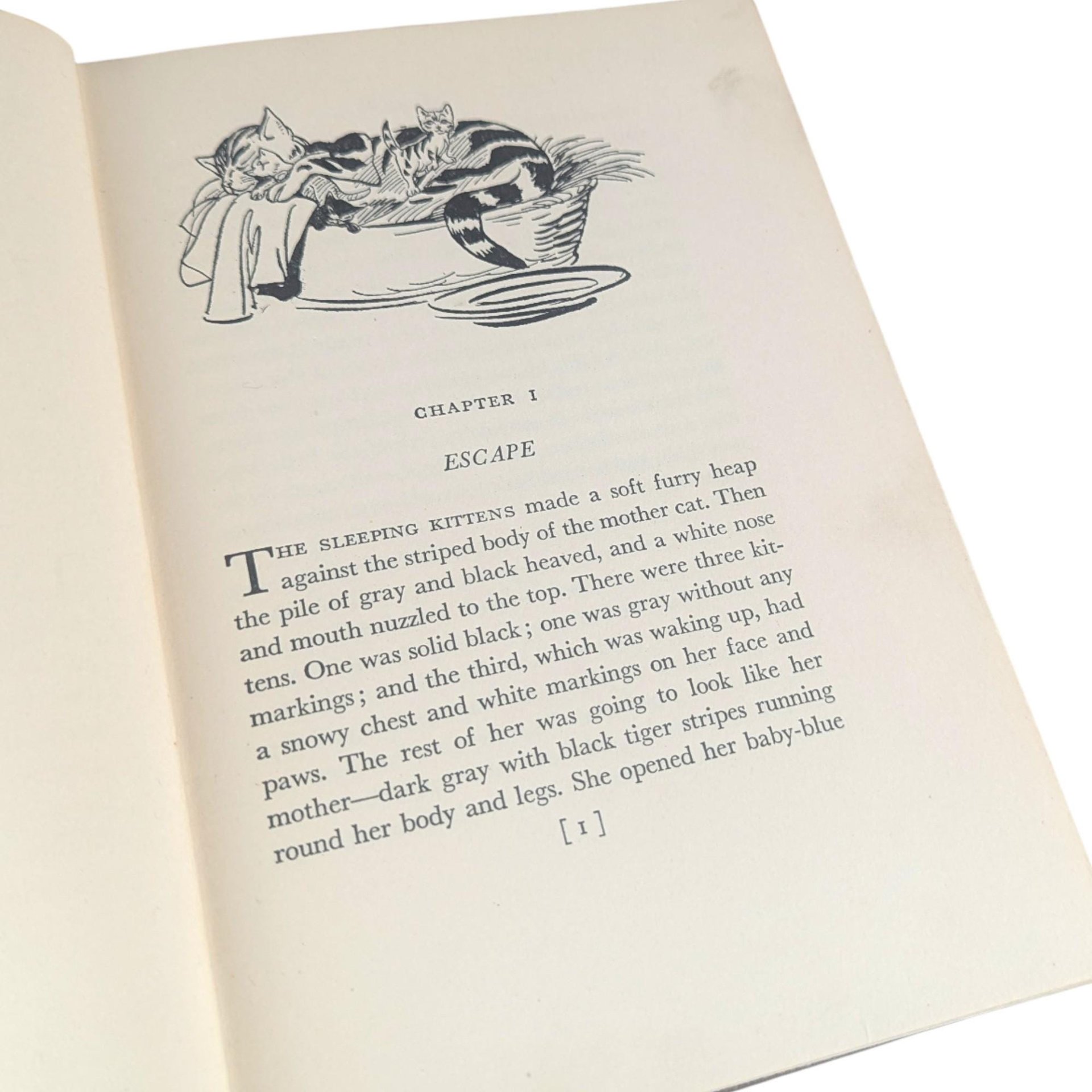 Vintage 1948 Jibby the Cat Book: Felix Salten Animal Story