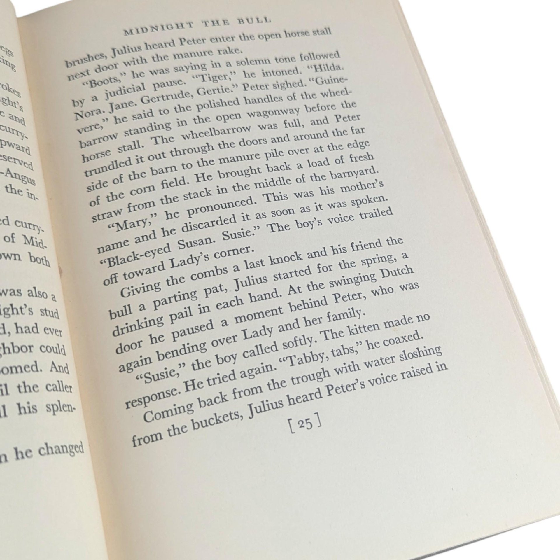 Vintage 1948 Jibby the Cat Book: Felix Salten Animal Story