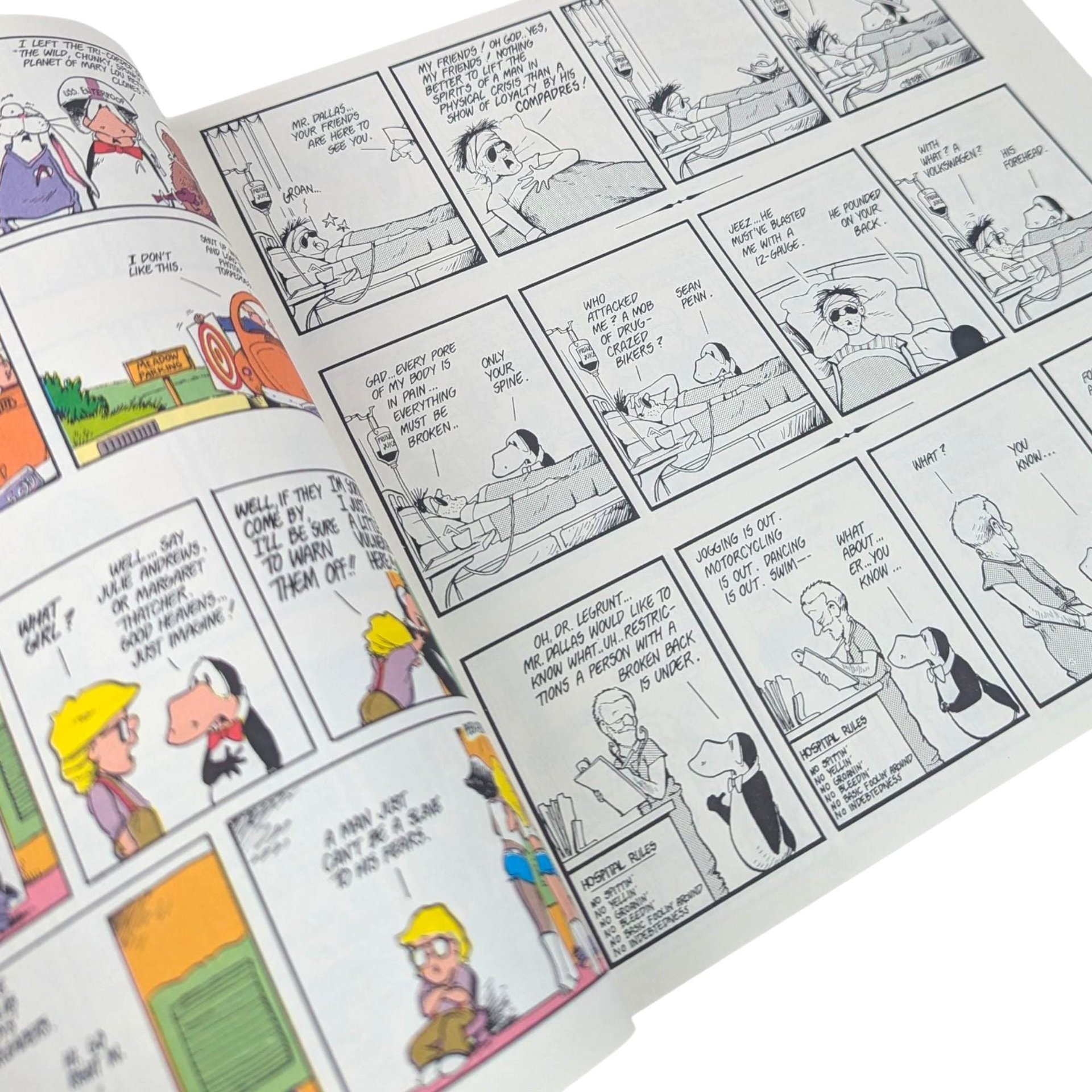 Vintage 1987 Billy and the Boingers Book: Berke Breathed Bloom County Comic