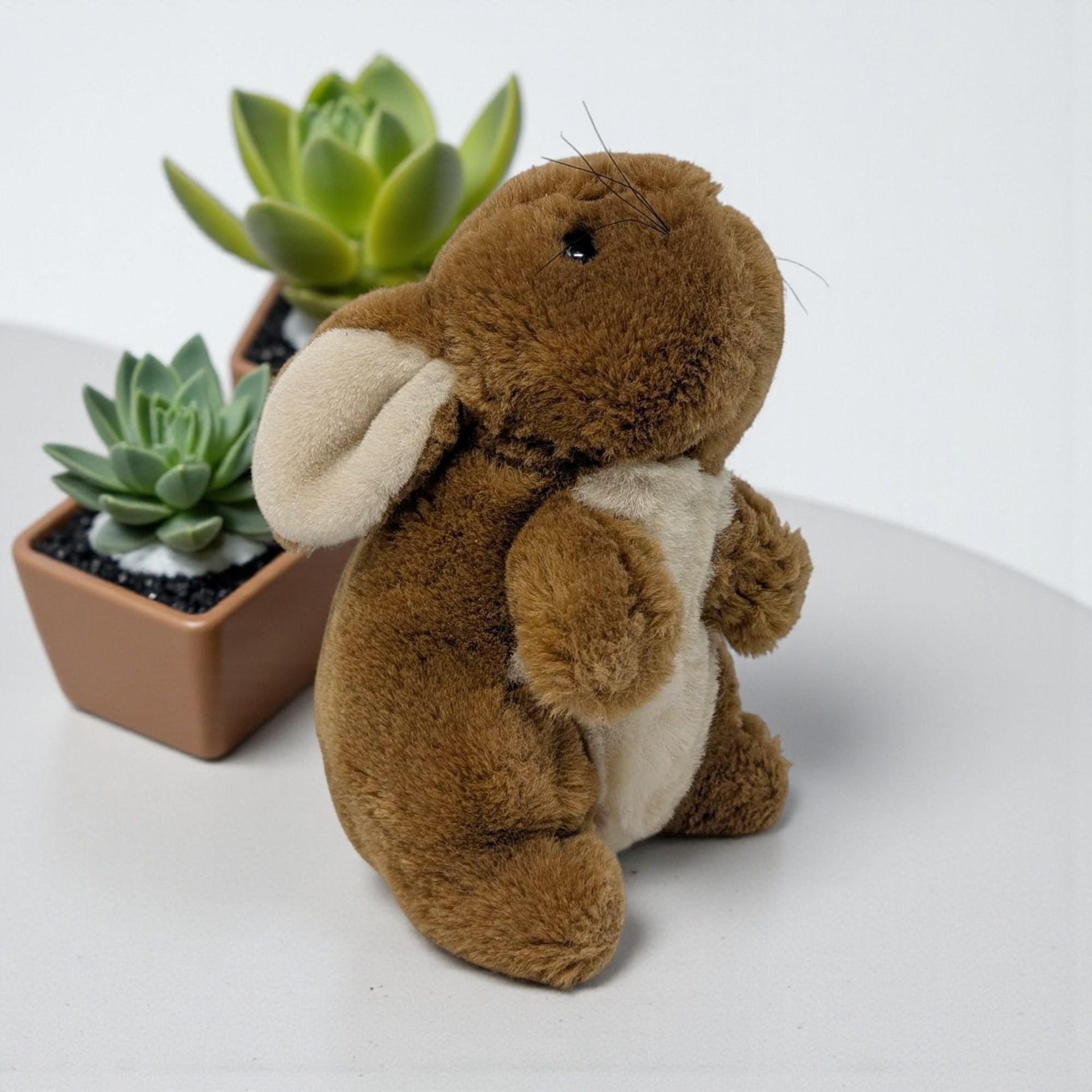 Vintage Eden Peter Rabbit Plush: Beatrix Potter Stuffed Animal Toy