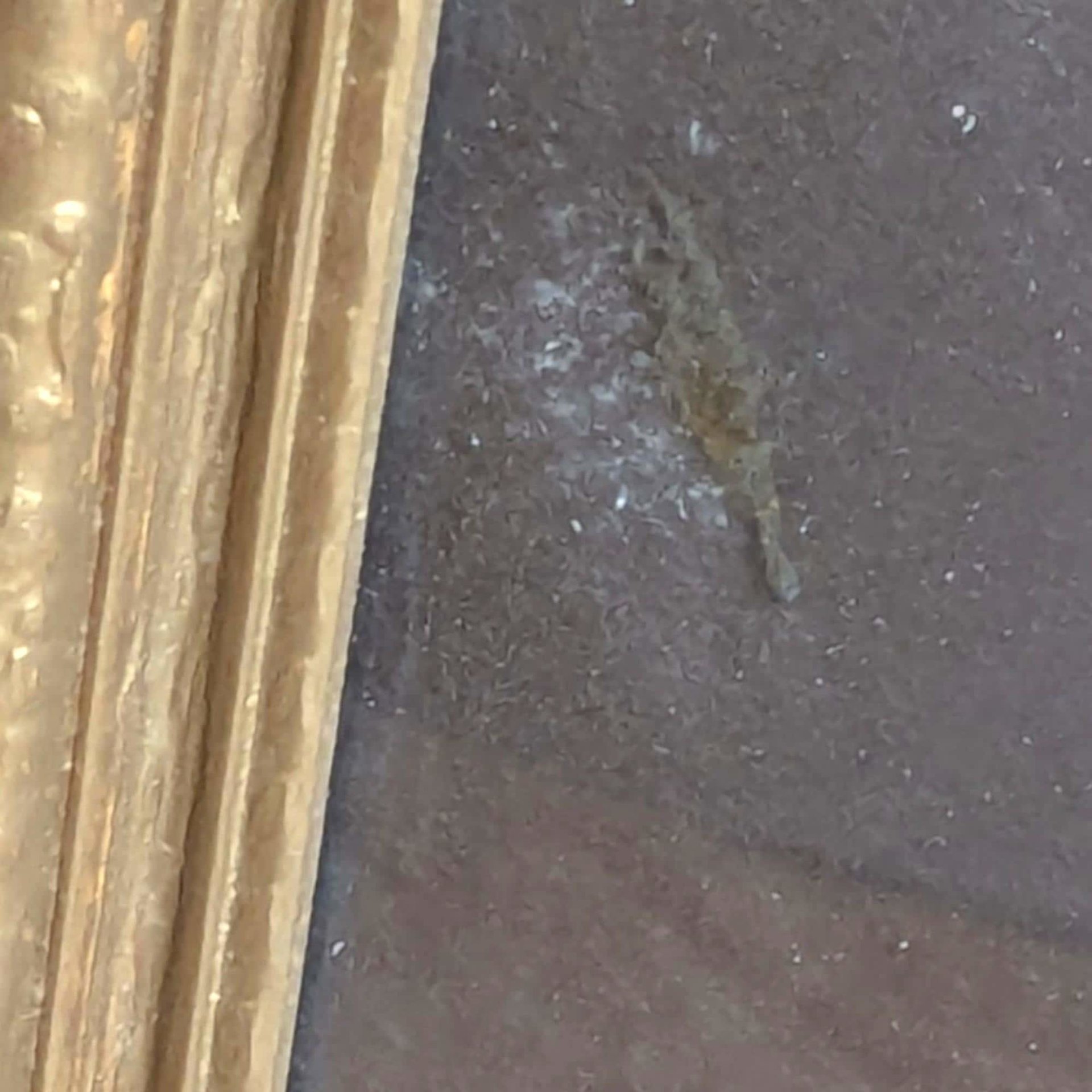 Vintage Egyptian Papyrus Painting: King Tut and Ankhesenamun