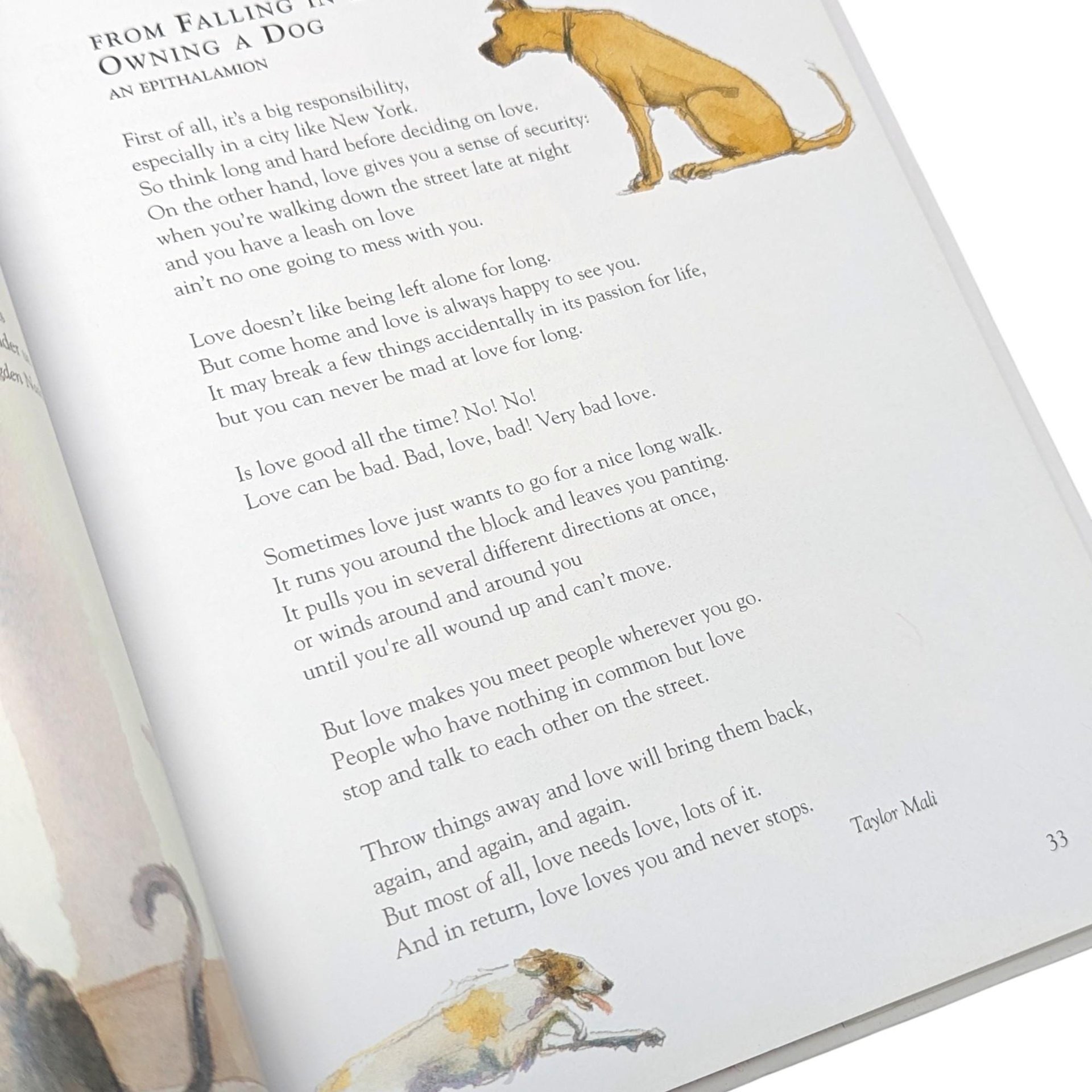 2005 A Family of Poems Hardcover Book: Caroline Kennedy