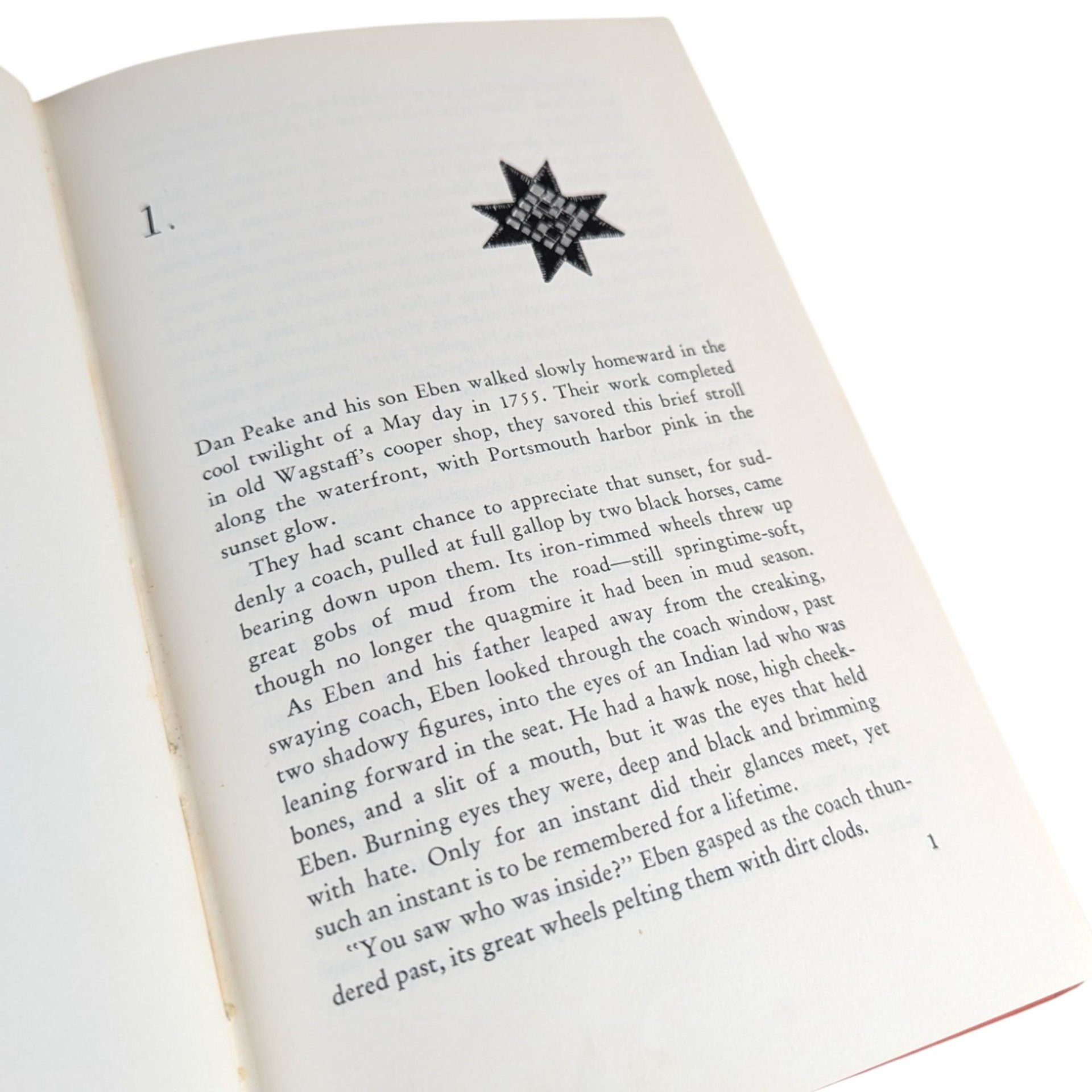 1966 The Day the Indians Came Hardcover: Robert P. Richmond