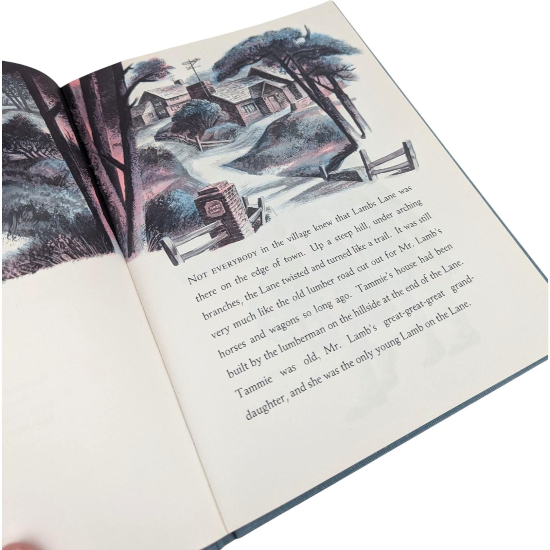 1967 The Wolf of Lambs Lane Hardcover Book