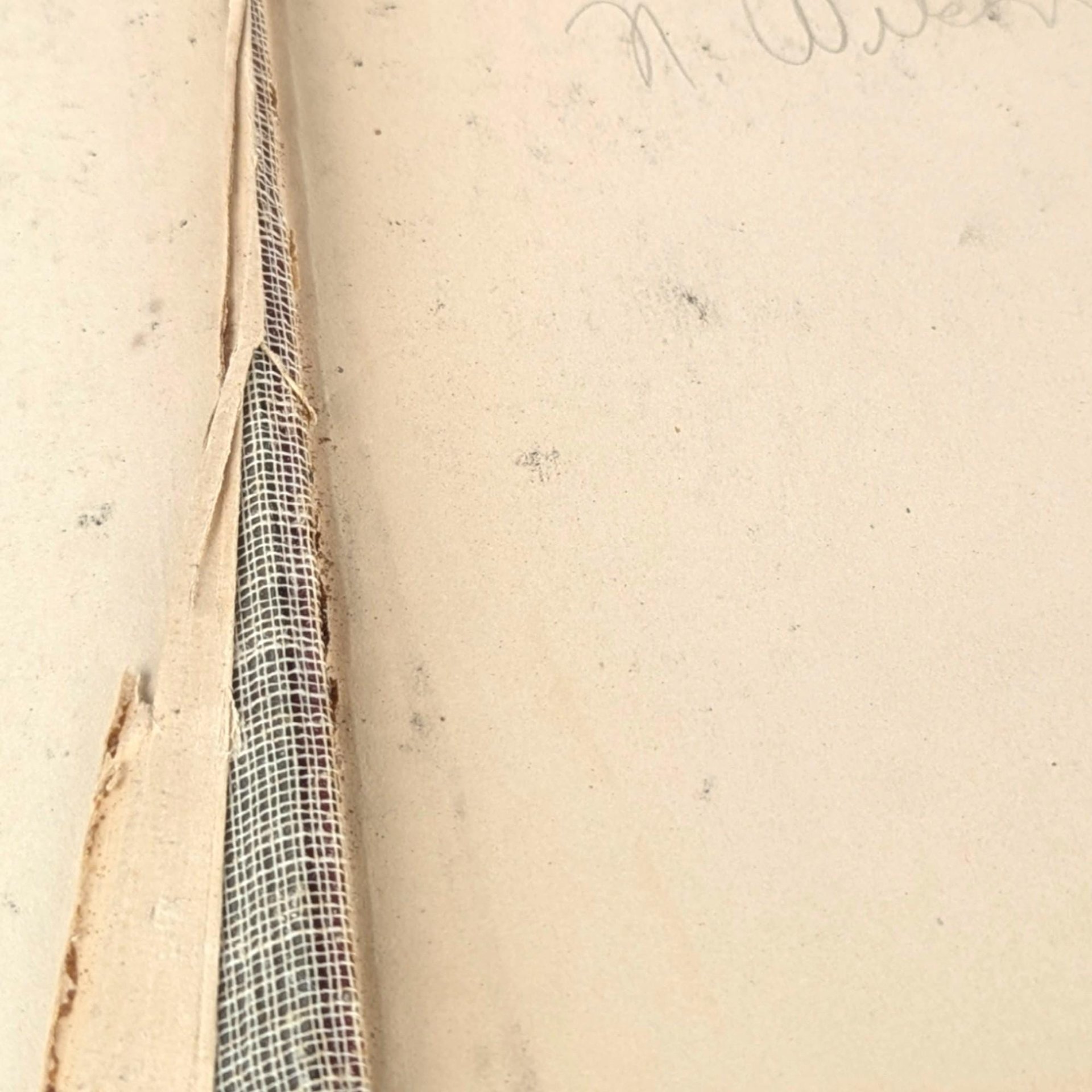 1896 Robert Browning's Poems, Thomas Y Crowell