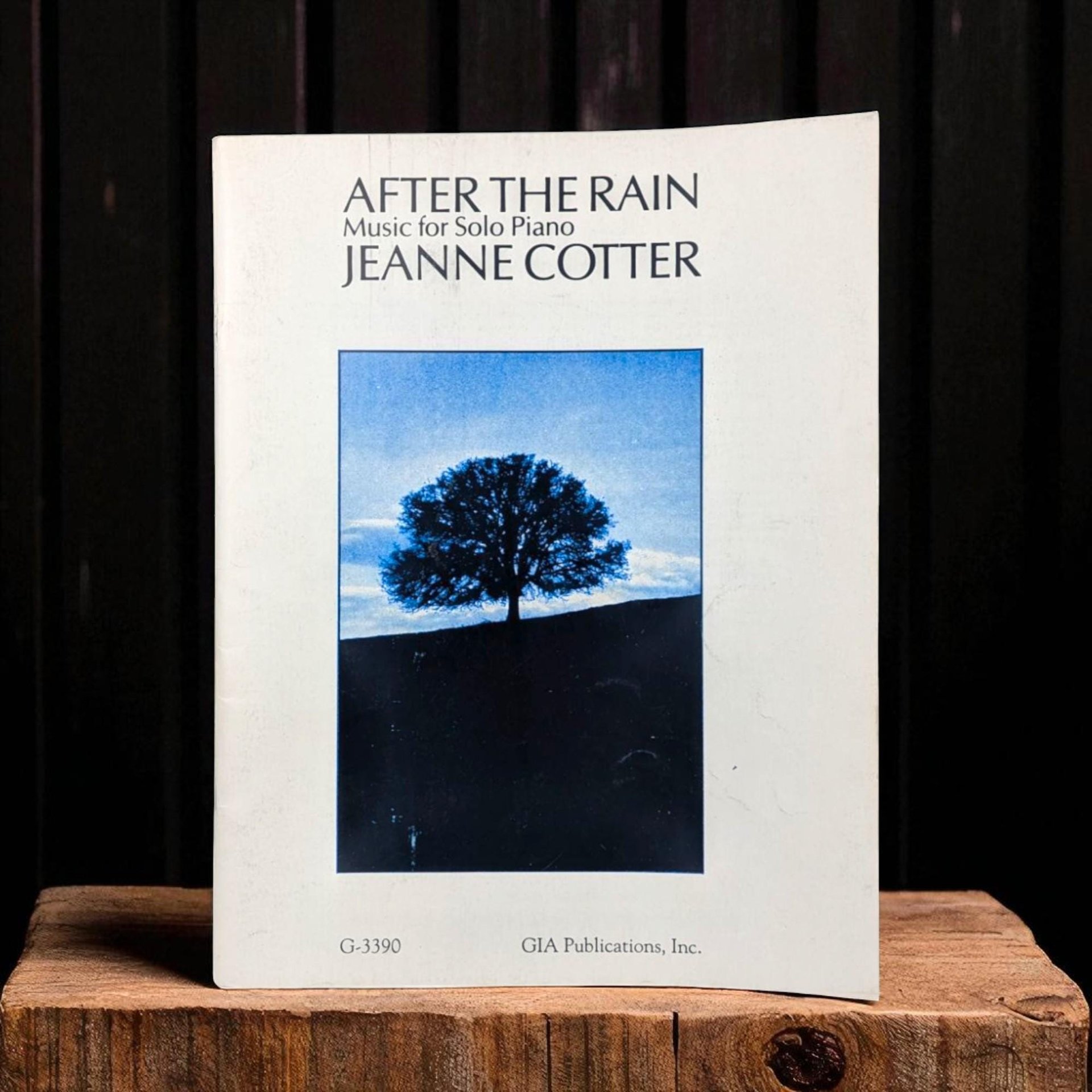 1990 After the Rain by Jeanne Cotter