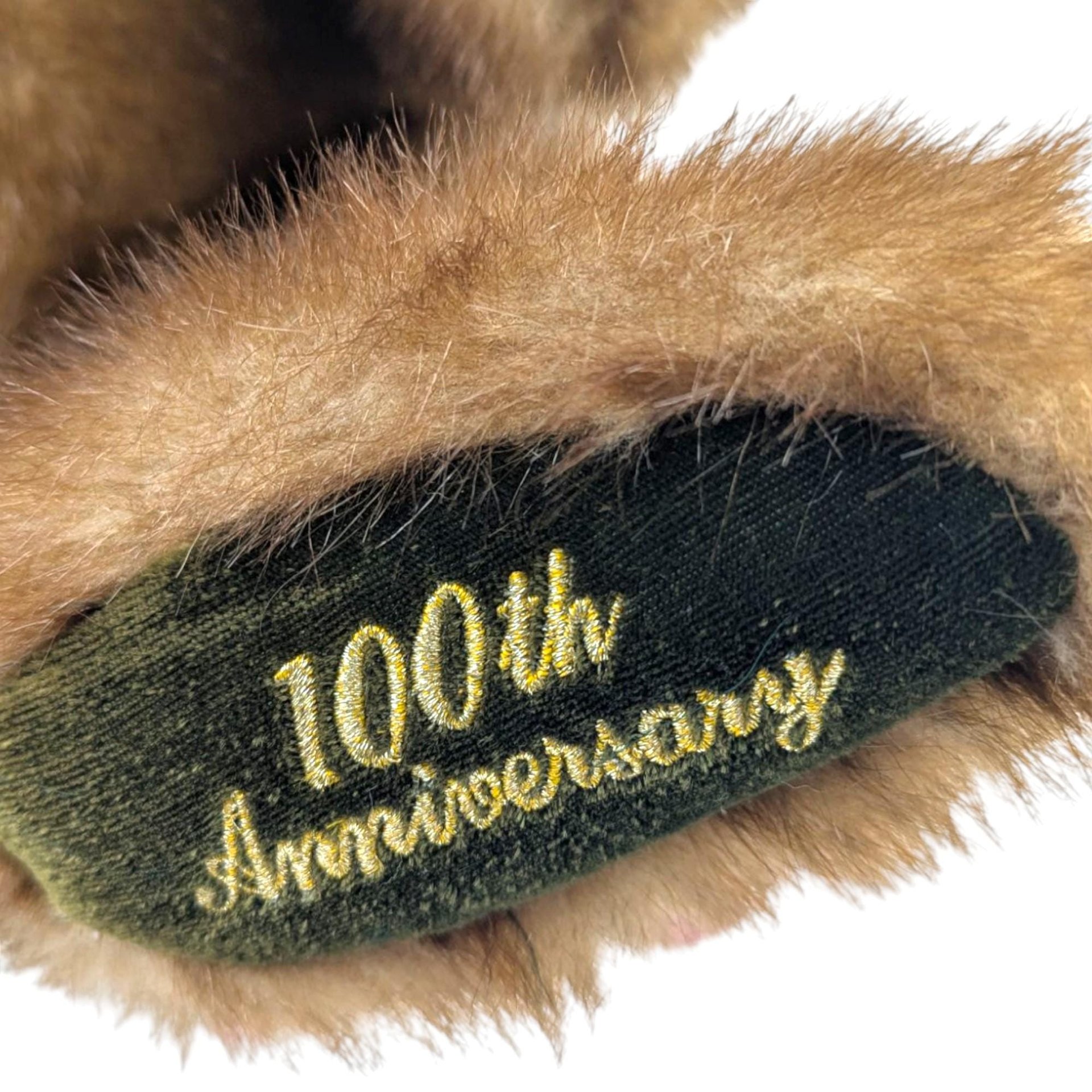 2002 Dandee 100th Anniversary Talking Teddy Bear