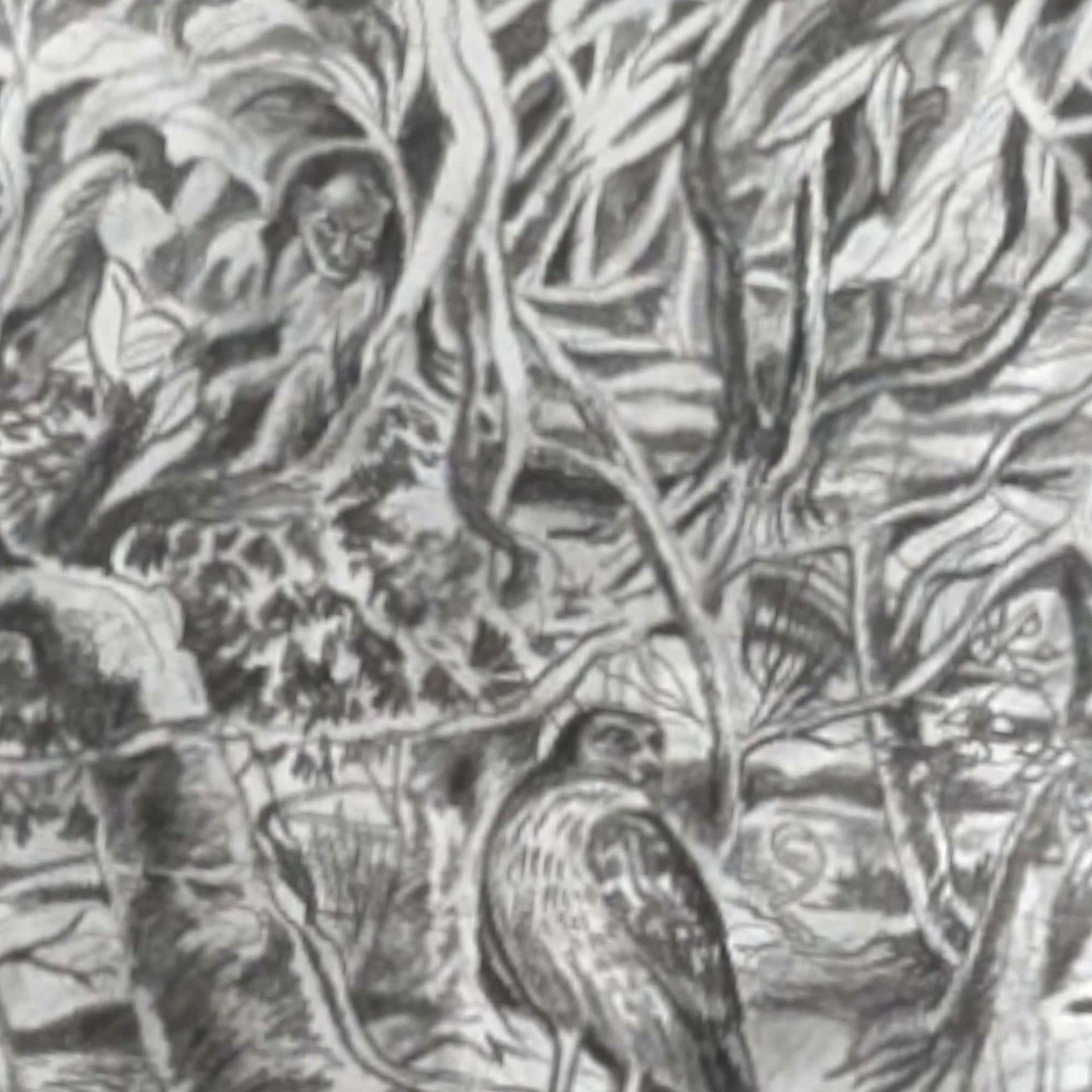 1998 S.G. Thautatta Framed Nature Art Print