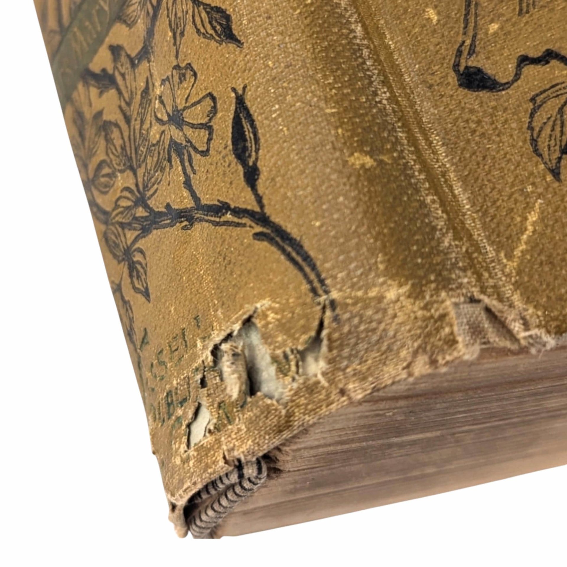 1891 Little Daughters Pleasure Book by Mary D. Brine