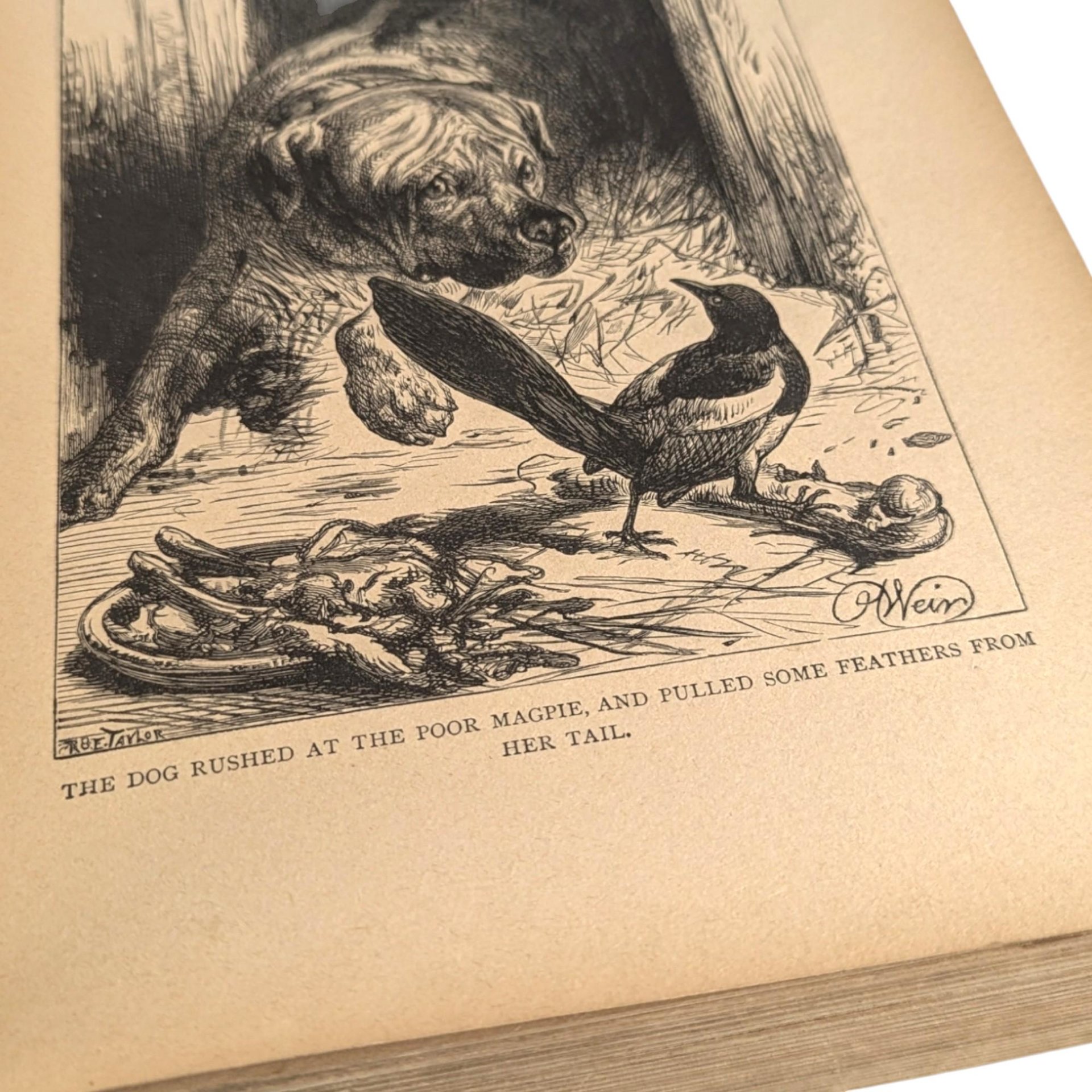 1891 Little Daughters Pleasure Book by Mary D. Brine