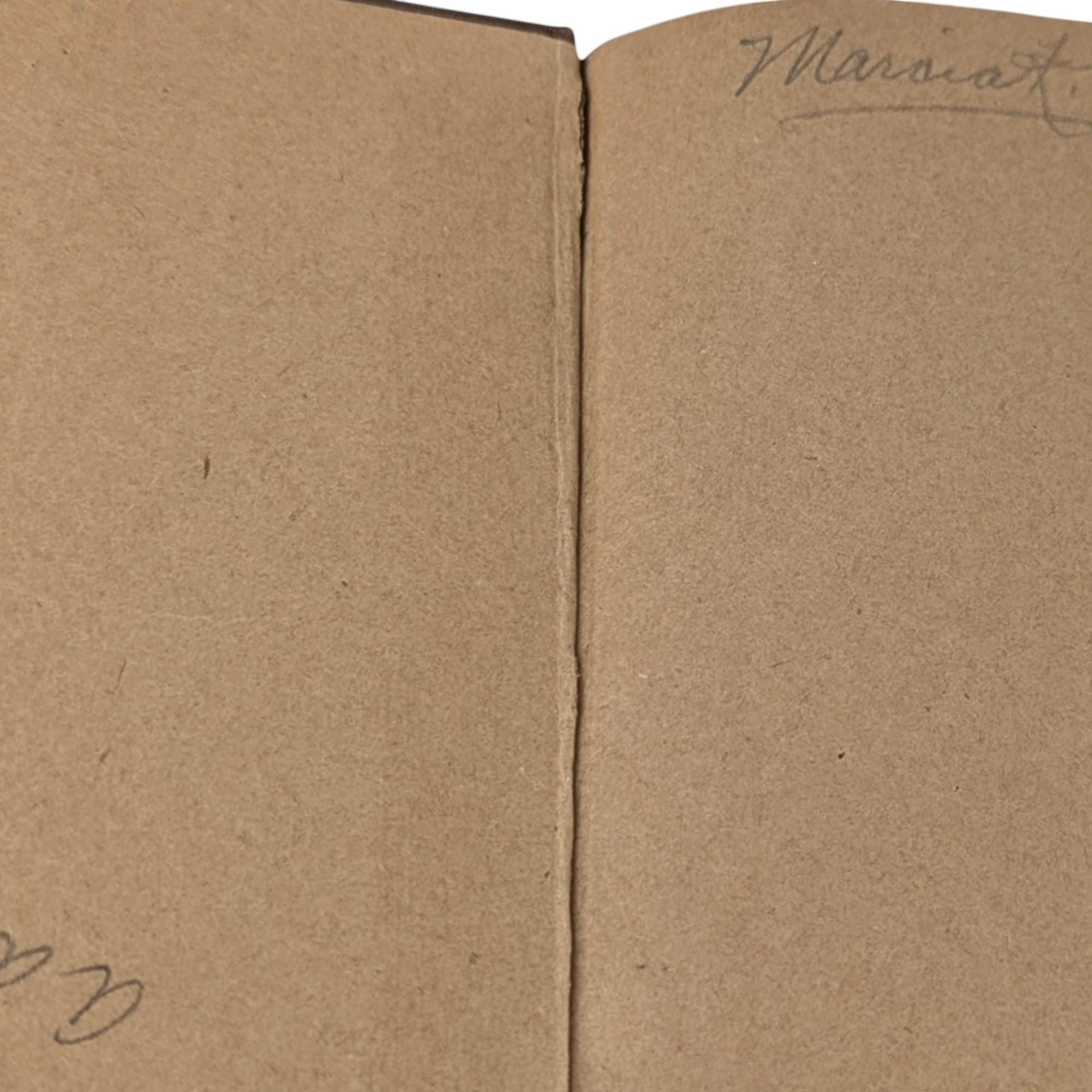 1918 Ruskin's Crown of Wild Olive and Queen of the Air Hardcover