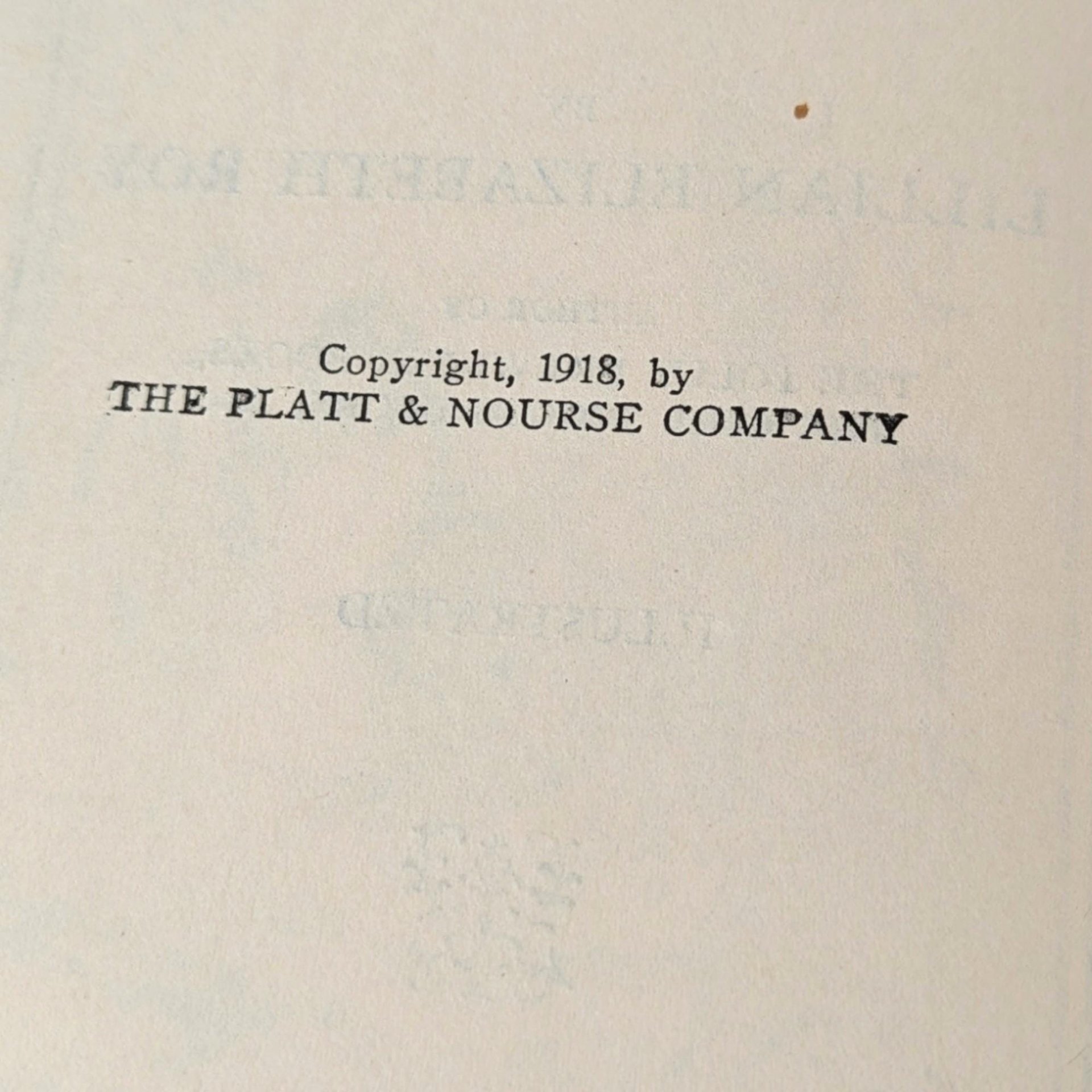 1918 Antique Children's Book Set: The Little Washingtons by Lillian Elizabeth Roy