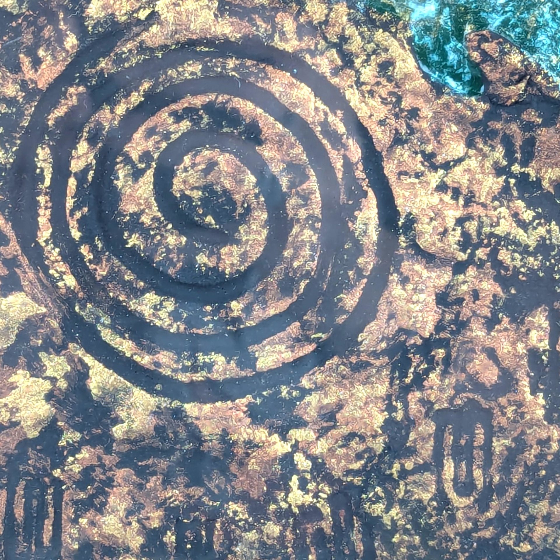 1997 Barbara DeVault Mixed Media Art: 'Lingard Disk' Framed Original