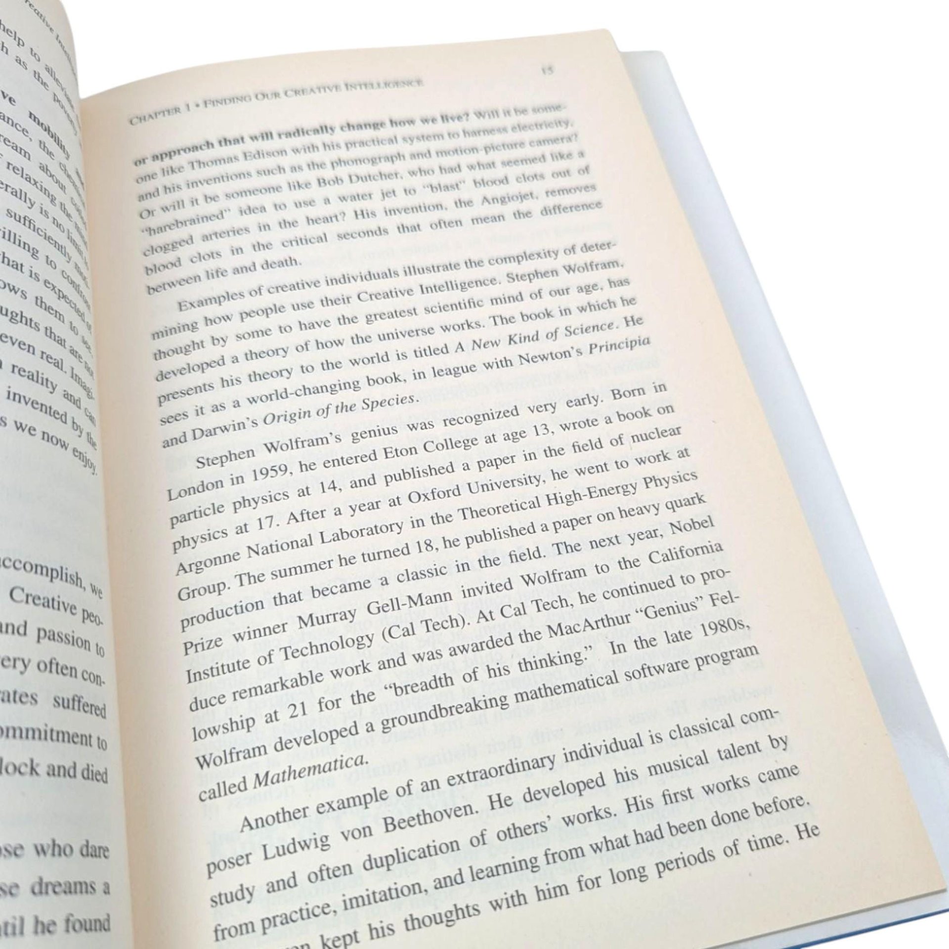 2004 Creative Intelligence Hardcover: Alan J. Rowe Business Leadership