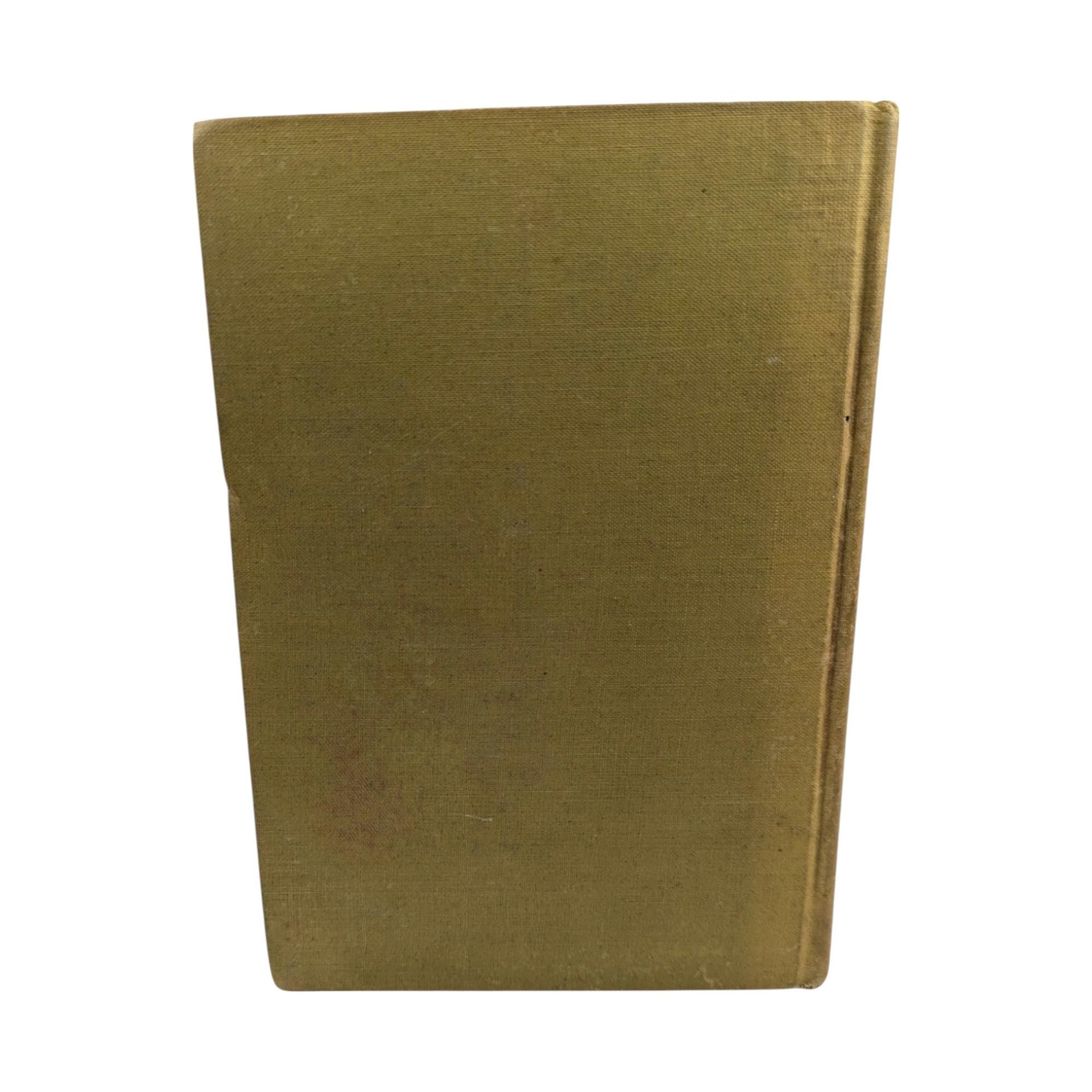 1910 Madame X Hardcover, J.W. McConaughy