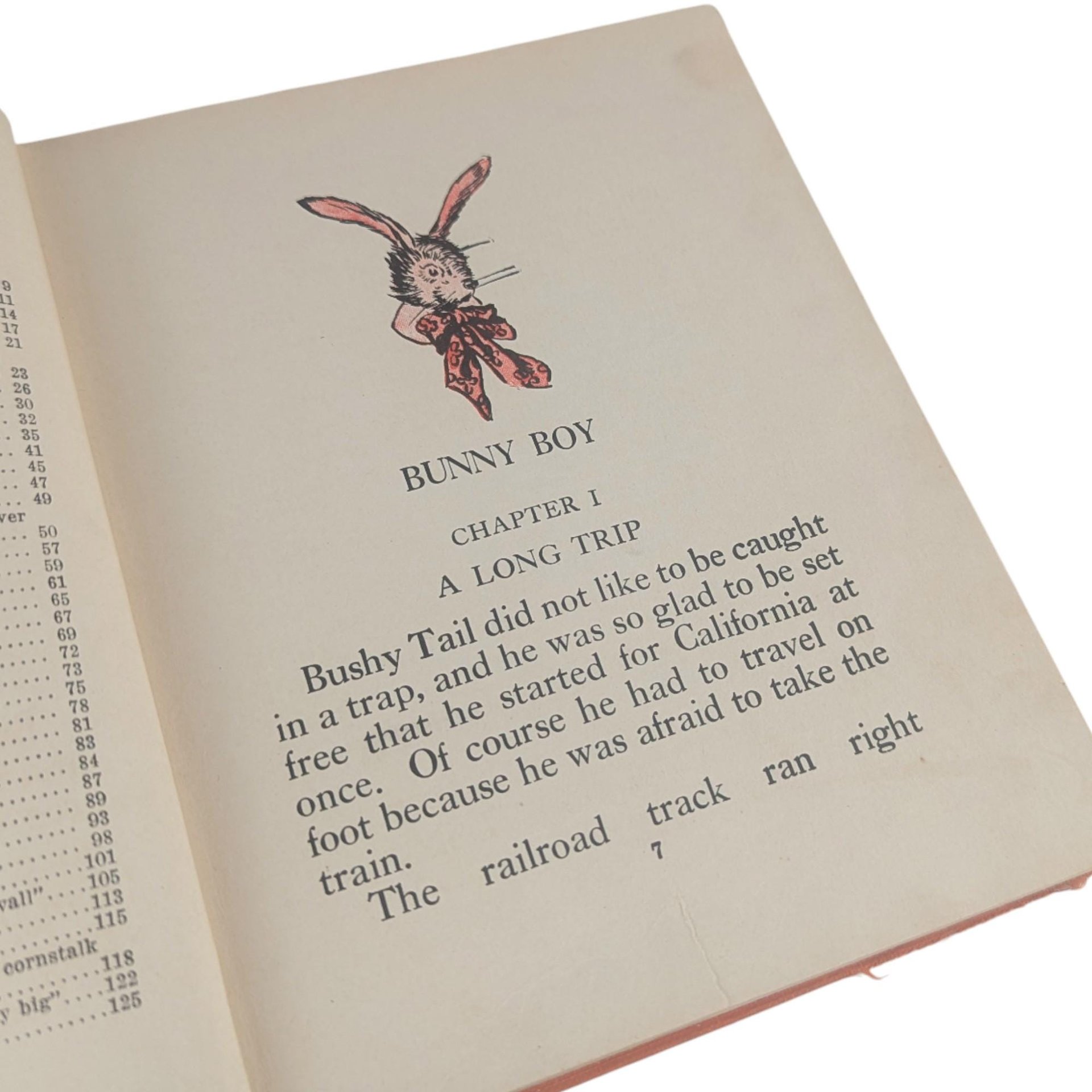 1922 Bunny Boy and Grizzly Bear Laura Rountree Smith Hardcover