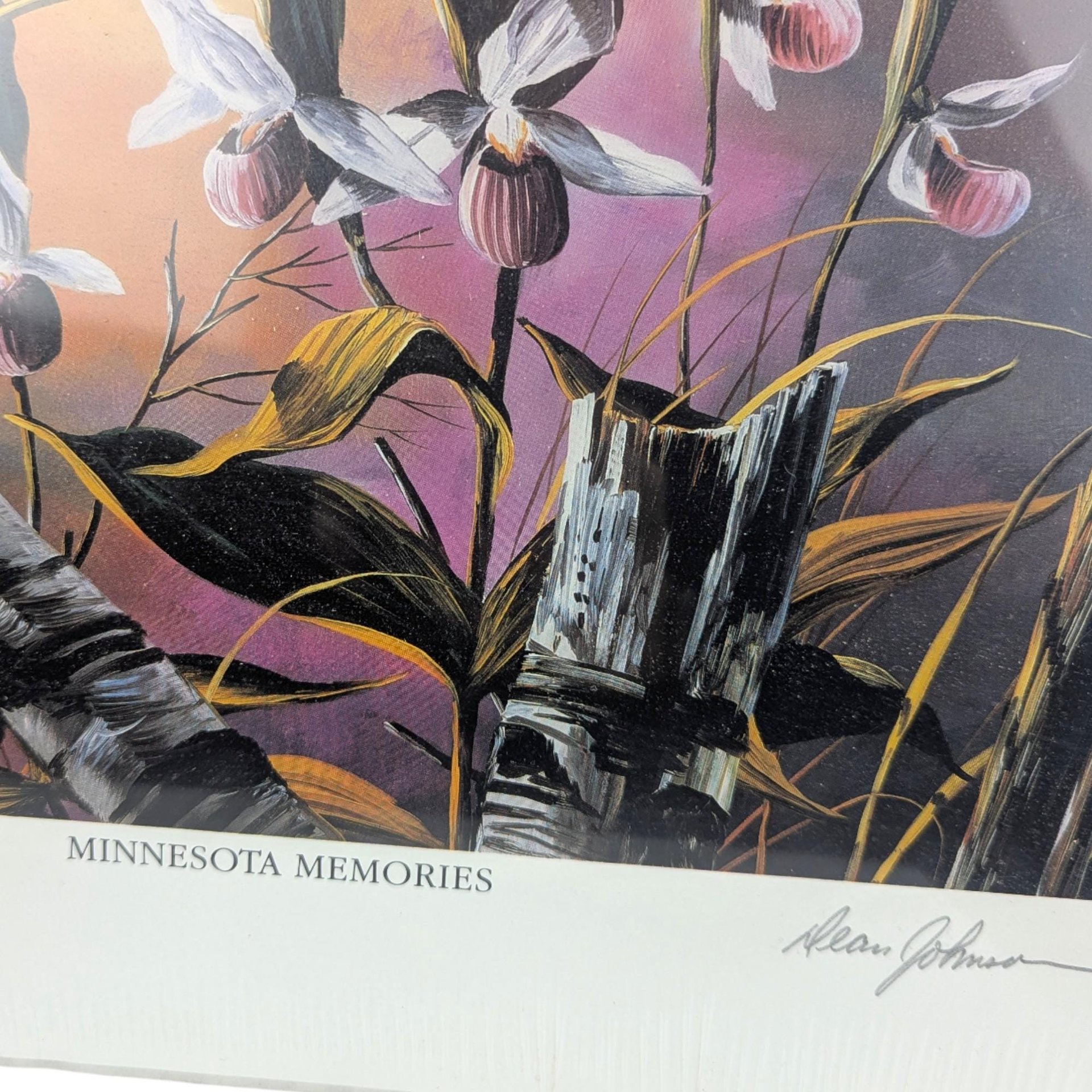 Vintage Dean Johnson Minnesota Memories Numbered Print