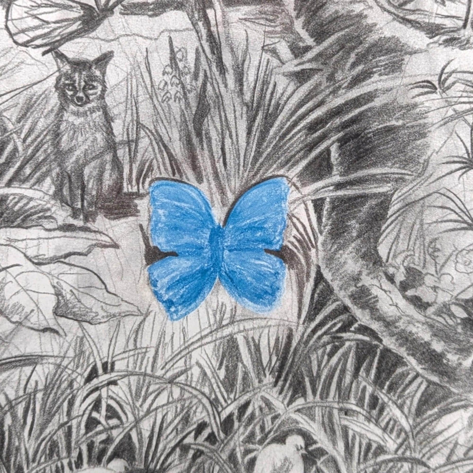 1998 S.G. Thautatta Framed Nature Art Print