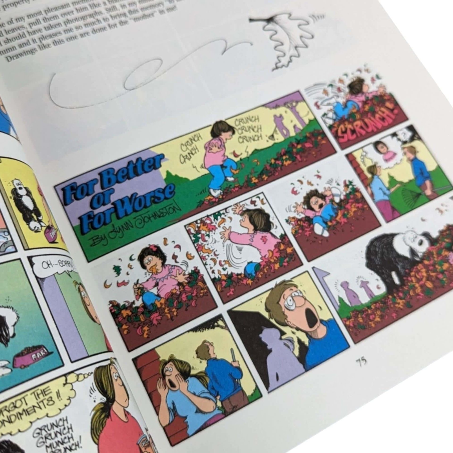 Vintage For Better or For Worse - It's the Thought That Counts 15th Anniversary Collection