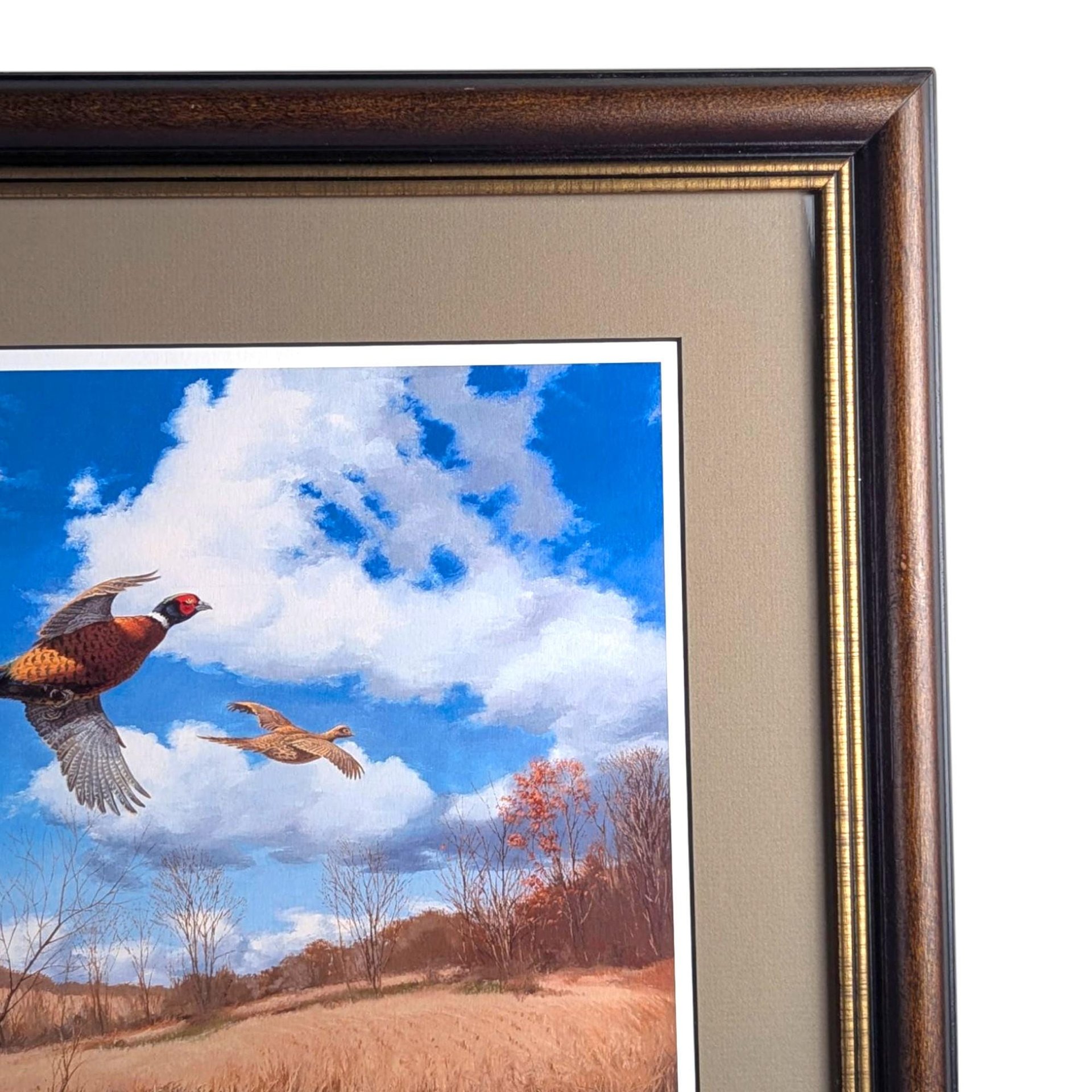Signed David A. Maass 'Tomahawk Trail—Pheasants' Wildlife Print