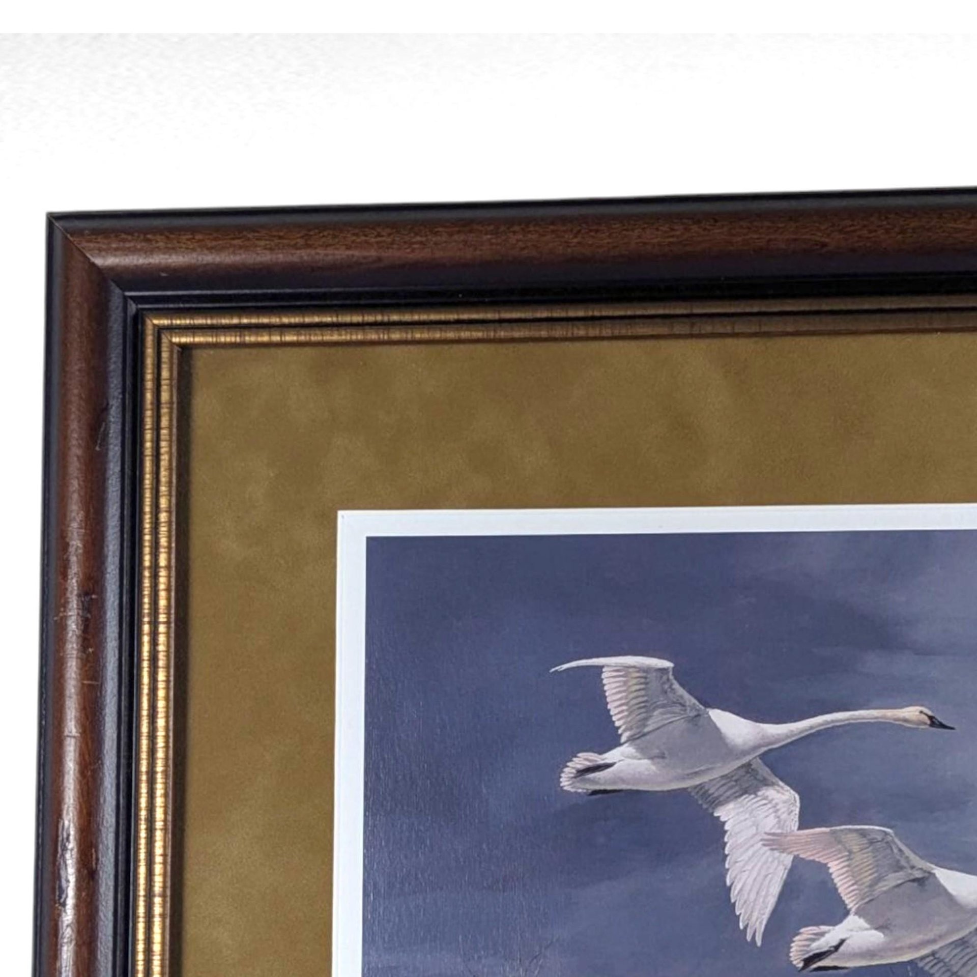 Signed David A. Maass 'Autumn at Baker—Trumpeter Swans' Print