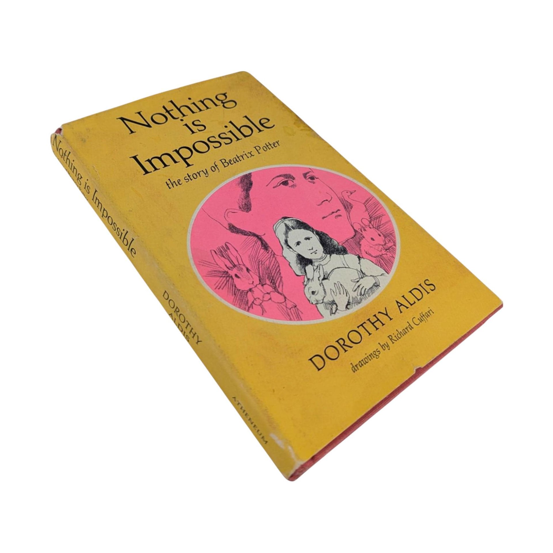 1971 'Nothing is Impossible' Beatrix Potter Hardcover