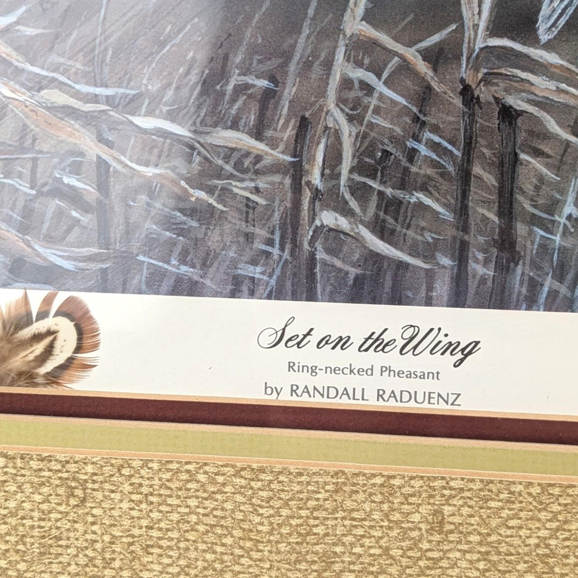 Randall Raduenz "Set on the Wing" Signed & Numbered Pheasant Print