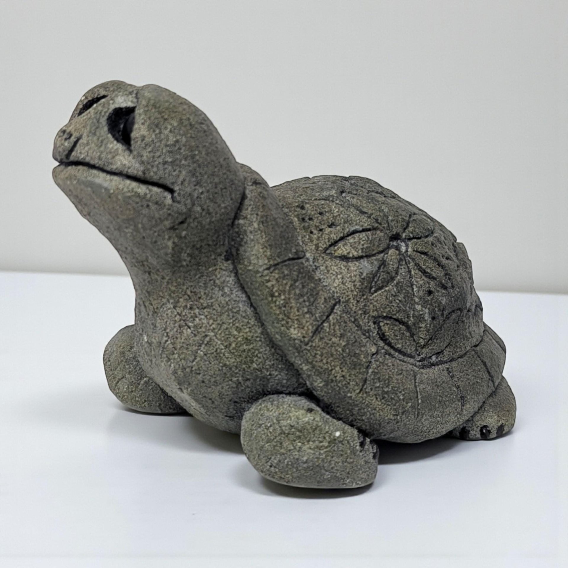 A small, heavy-textured stone turtle figurine with a weathered grey finish. The shell is embellished with a carved floral or sand dollar motif, and the figure is depicted with an upturned head and simple, rounded limbs.