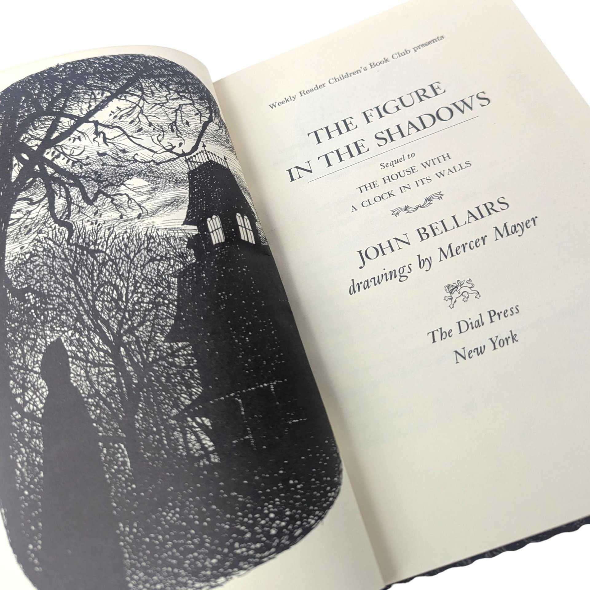 1975 The Figure in the Shadows by John Bellairs