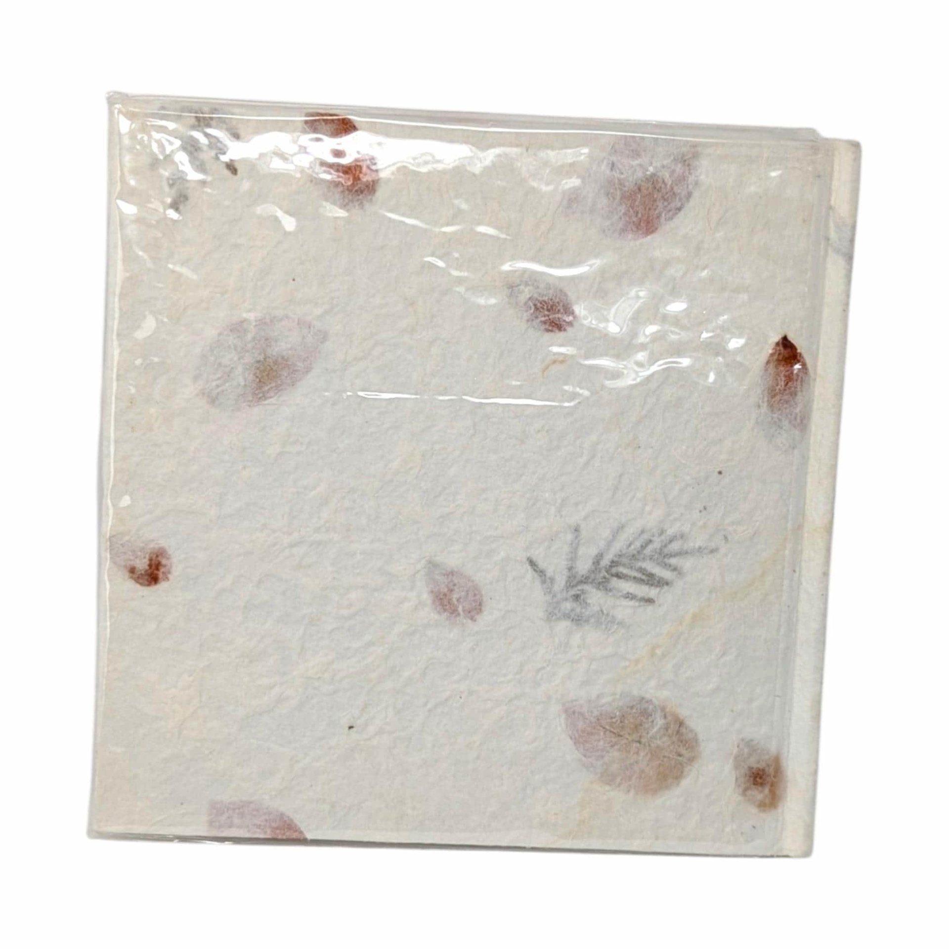 The Language of Friendship Hardcover