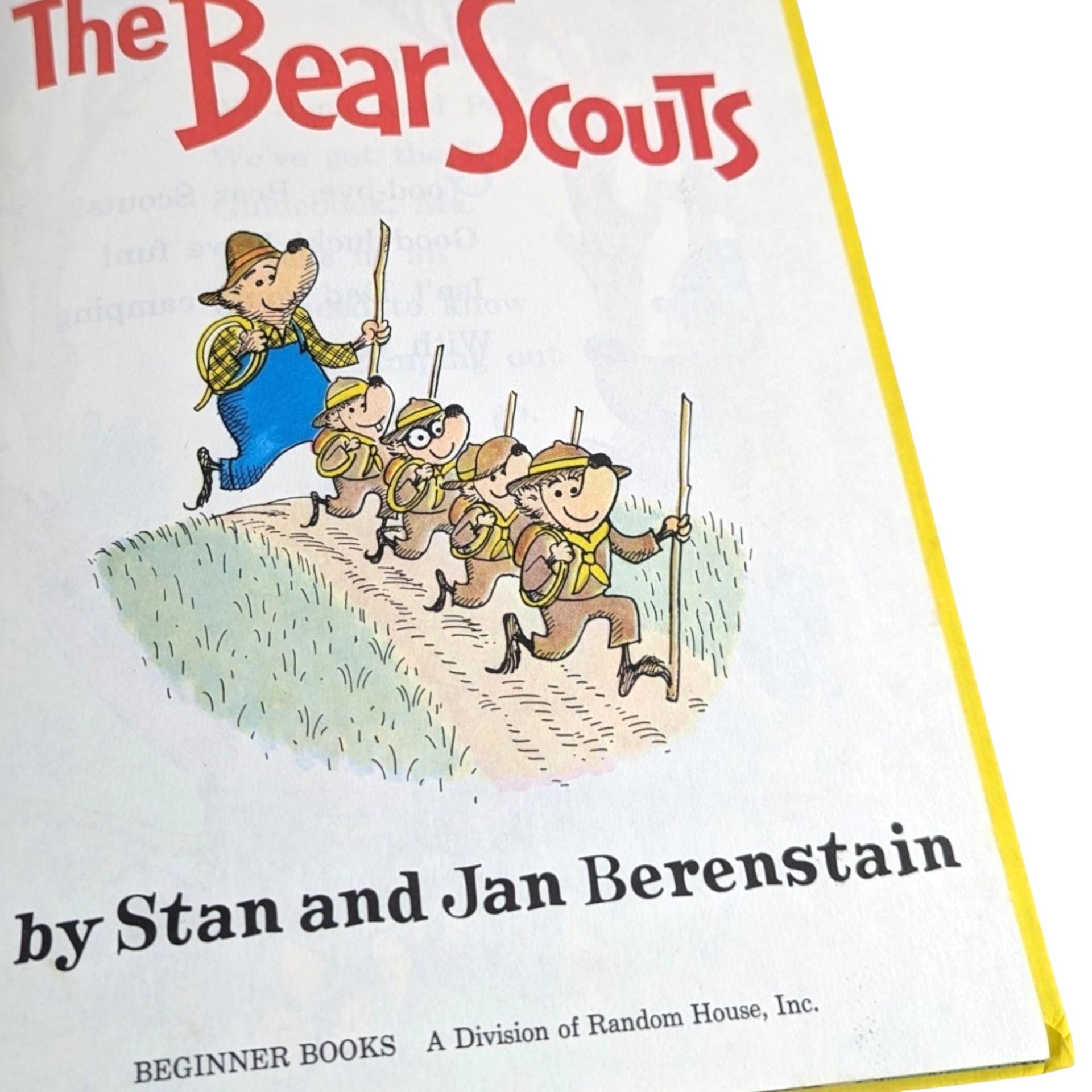 1960s Berenstain Bears Early Learning Hardcover Book Set – Vintage Children's Books