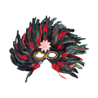 Vintage Feather Mardi Gras Mask, Black and Red Masquerade Ball Mask, Carnival Costume, New Orleans Style Wall Art, Halloween Party