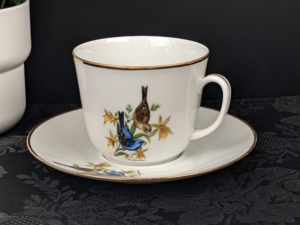 Vintage Bereuther Waldsassen Tea Cup and Saucer with Blue Grosbeck Design