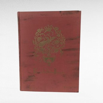 Rubaiyat Omar Khayyam Fitzgerald Pogany Illustrated, Poetry Book, Vintage Literary Gift
