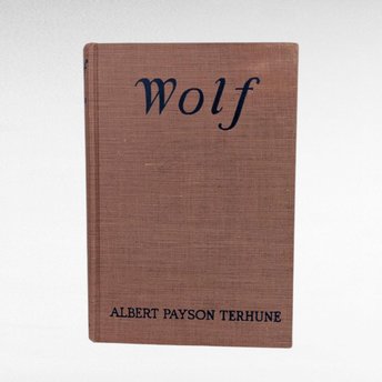 1925 Wolf, Albert Payson Terhune, Hardcover, Vintage, Dog Story, Gift for Animal Lovers
