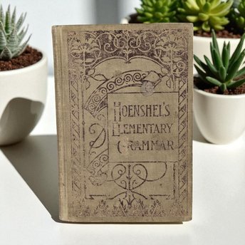 1899 Hoenshel's Language Lessons & Elementary Grammar Book, Antique Schoolbook, Vintage Educational Book, Gift for Teacher