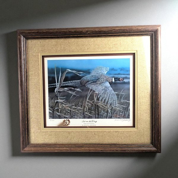 Framed wildlife print titled 'Set on the Wing' by Randall Raduenz, depicting a ring-necked pheasant in flight over a weathered cornfield. The artwork features earthy browns and vibrant blues, encased in a dark wood frame with a textured burlap mat.